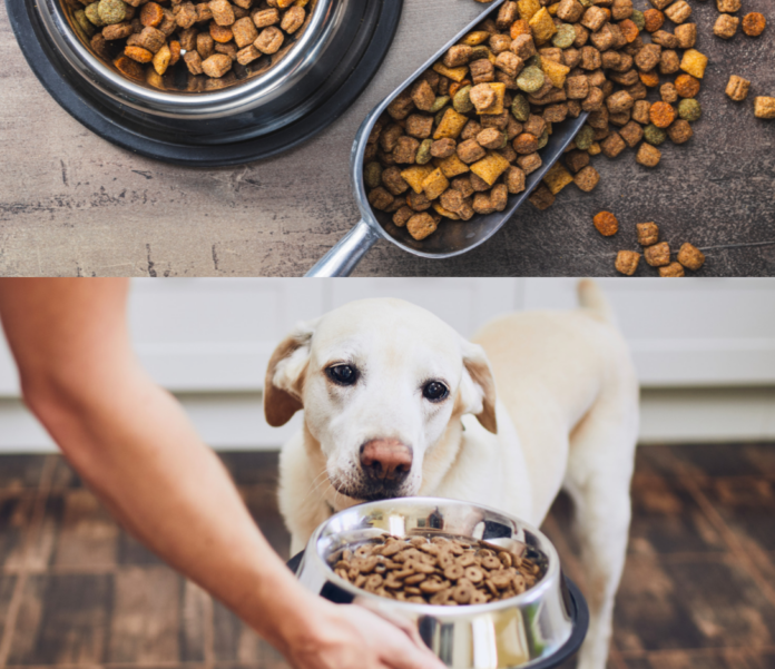 How Many Calories Does a Dog Need? Free Dog Food Calculator